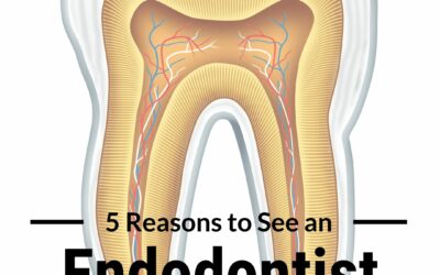Endodontists – Fairhope Alabama