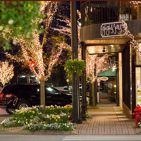 Dentist in Fairhope, AL